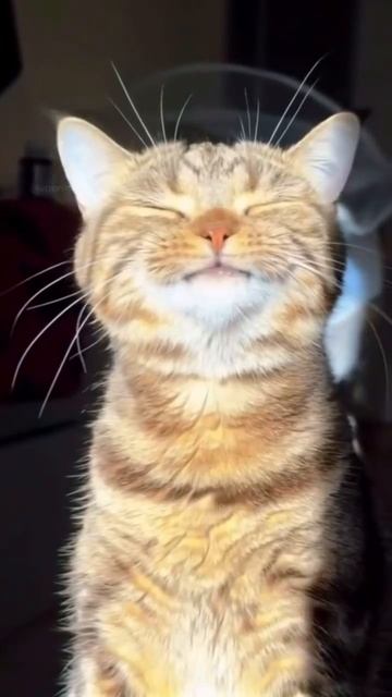 Когда выглянуло солнце