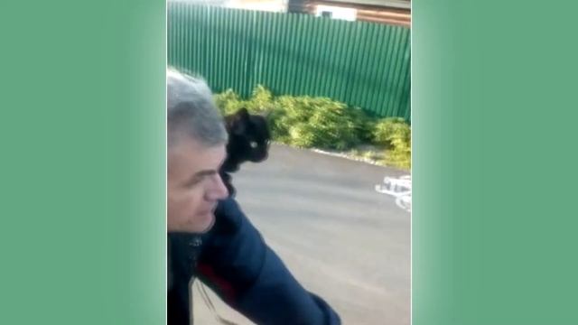 Simka - путешественница смотреть онлайн