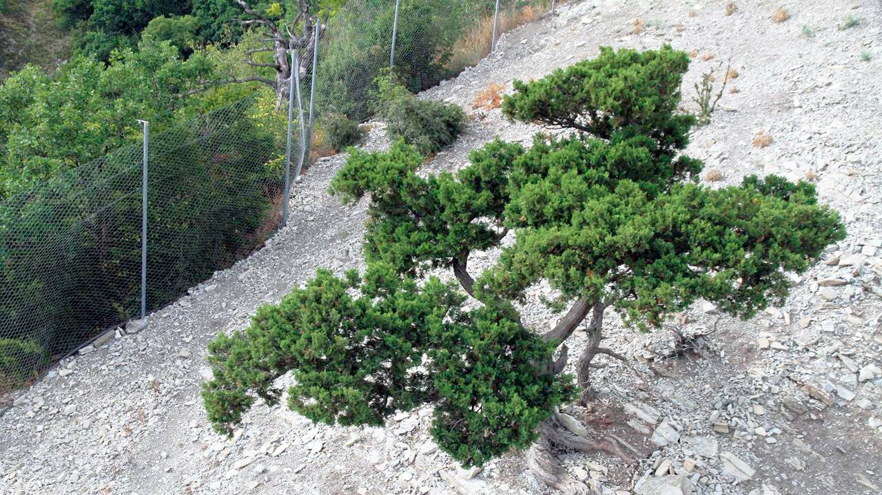 Геленджик Канатная Дорога | Сафари Парк в Геленджике | Как мы отдыхали прошлым летом смотреть онлайн