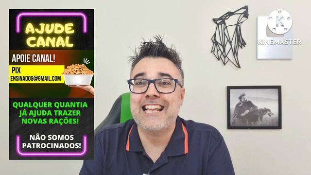A MELHOR RAÇÃO PARA CACHORRO segundo TESTE LABORATÓRIO! | Ração cães смотреть онлайн