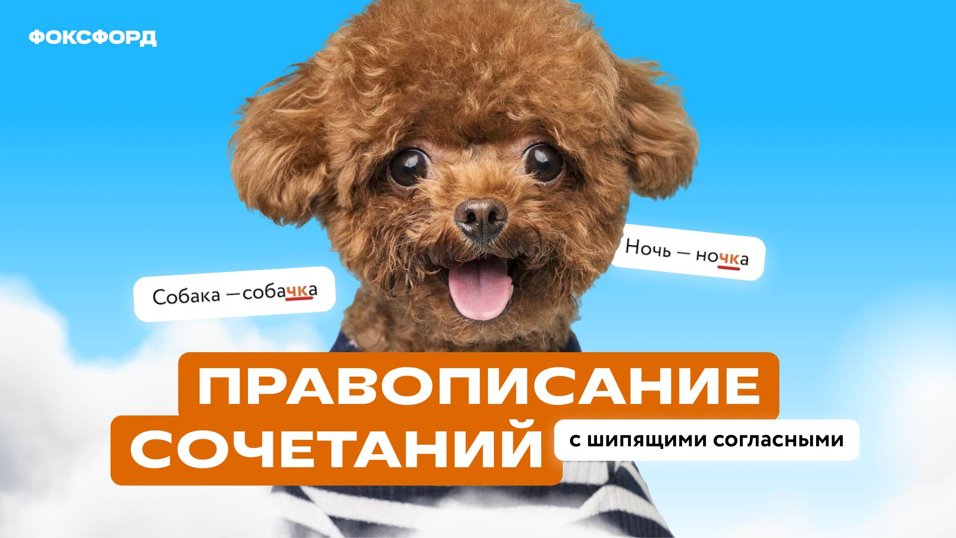 Правописание сочетаний с шипящими. 3 класс смотреть онлайн