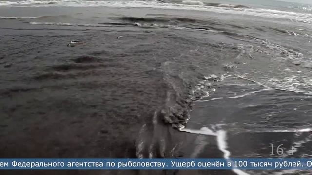 18.04.2024 За нарушение сроков рыбалки в Тымовском суд взыскал штраф с представителей КМНС смотреть онлайн