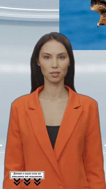 На Кузбассе коршуны утаскивают с собой в небо щенков и котят #shorts смотреть онлайн