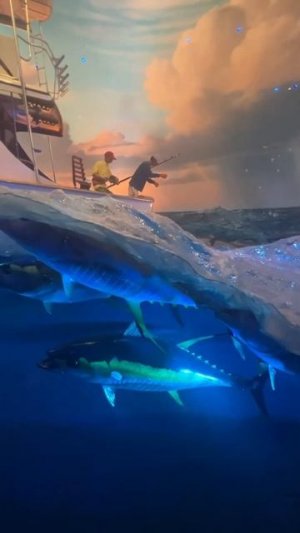 Great Ocean Hall at Wonders of Wildlife National Museum & Aquarium in Springfield MO