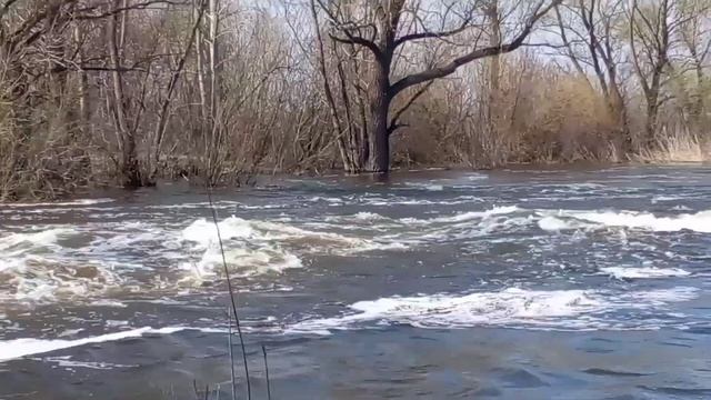 Иртыш река вблизи село кенжеколь смотреть онлайн