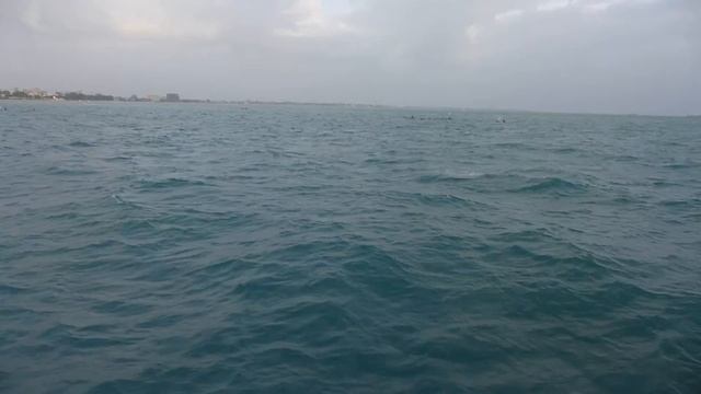 Ferry to Zanzibar смотреть онлайн