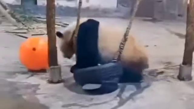 неуклюжая панда смотреть онлайн