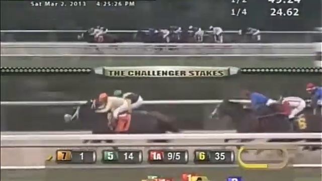 Tampa Bay Downs 02-03-2013 FLATTER THI-Antonio Gallardo (Turfeiros Galegos) смотреть онлайн