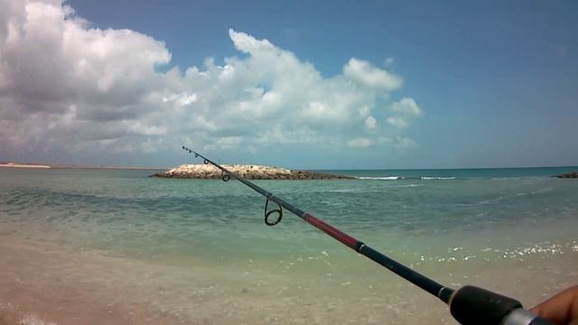 MANCING PINGGIRAN TARGET IKAN CRACAH !!! ASIK KALI... смотреть онлайн