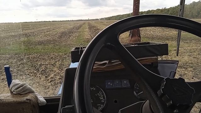 Мал клоп, да вонюч. смотреть онлайн