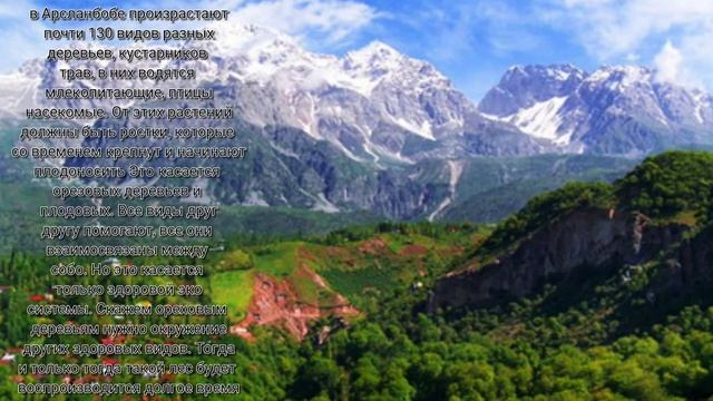 Арсланбоб смотреть онлайн
