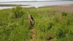 Охота на Пиранью