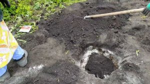 Посадка саженцев персиков в Башкирии. Выращивание персиков в сланцевой форме