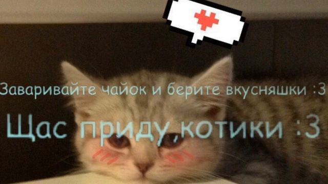Великое возвращение!(Пони Даун) смотреть онлайн