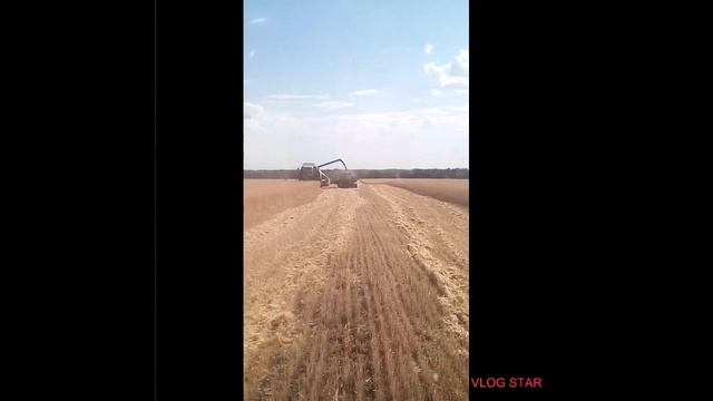 Заканчиваем уборку ржи 2020 смотреть онлайн