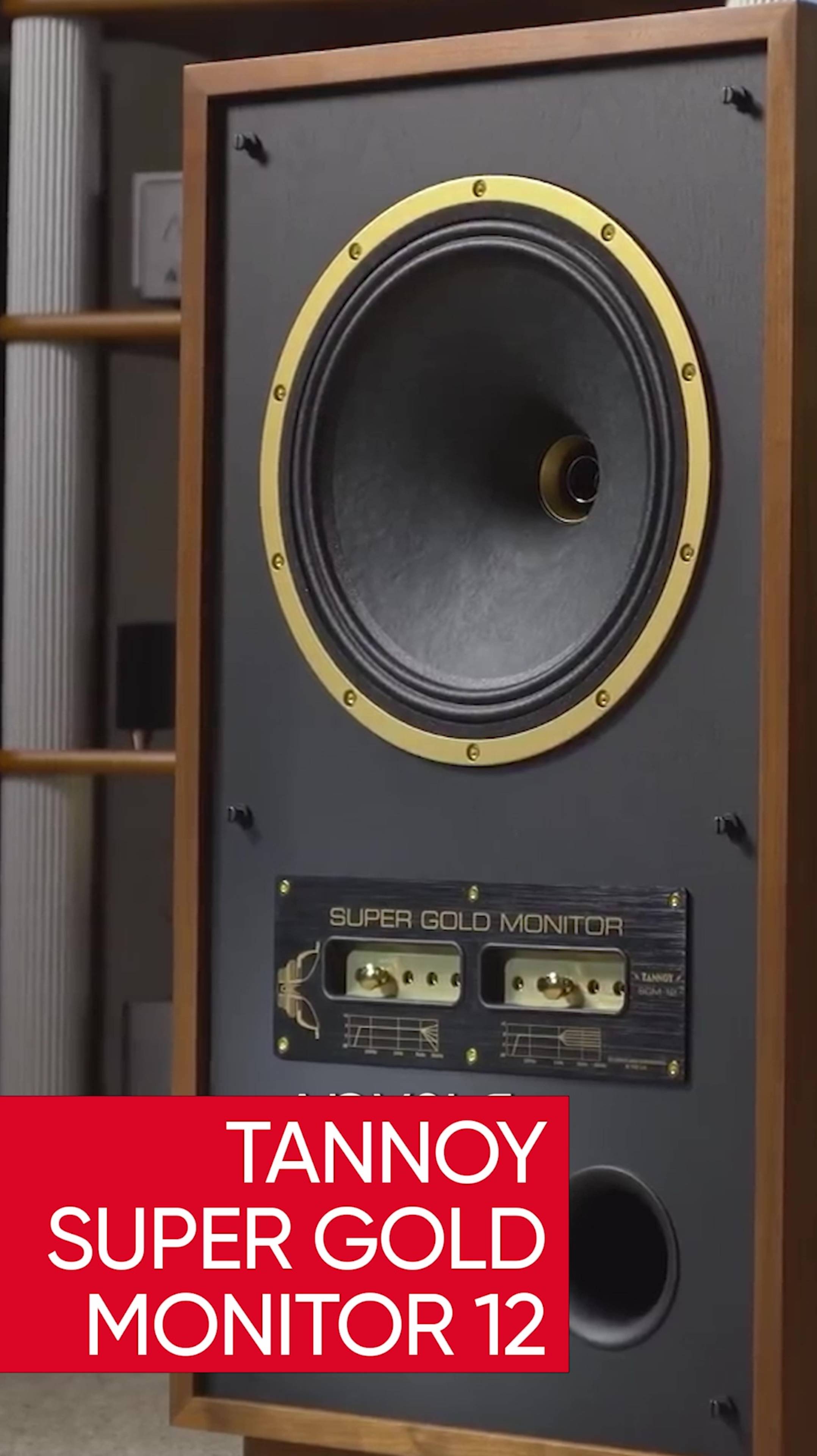 Tannoy Super Gold Monitor 12 смотреть онлайн