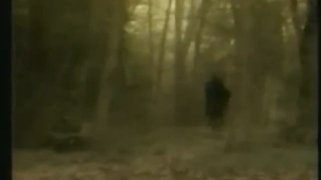 RATA BLANCA LA LEYENDA DEL HADA Y EL MAGO CLIP ORIGINAL смотреть онлайн