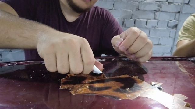 Расклейка Hyundai Accent