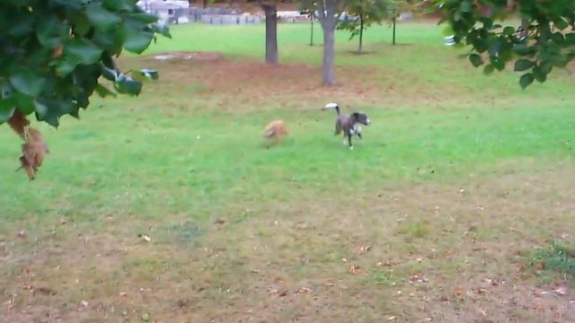 Наша банда смотреть онлайн