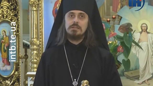 Nestor vitannia смотреть онлайн