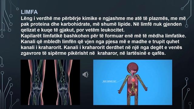 Biologji X - Tema: Limfa dhe lëngu indor смотреть онлайн