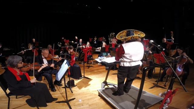 Hernando Symphony Orchestra - Deck the Halls with Chips n Salsa смотреть онлайн