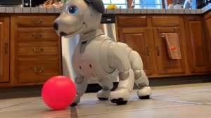 Sony Aibo ERS-1000 Review: It’s the Ultimate Robot Dog!