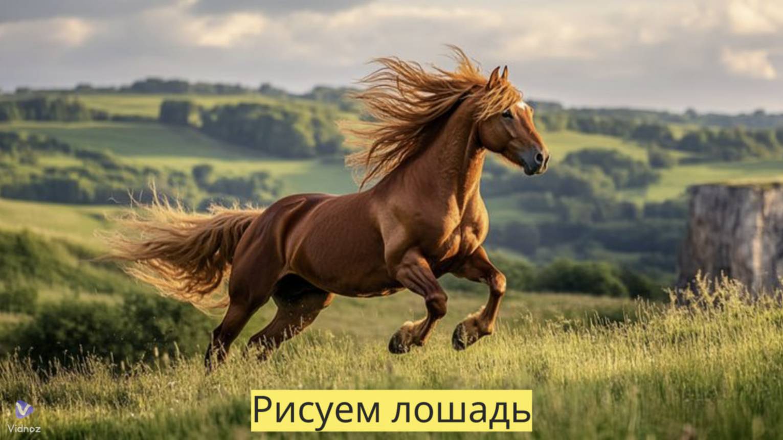 Маленькие художники: Рисуем лошадку - Детский образовательный мультфильм смотреть онлайн