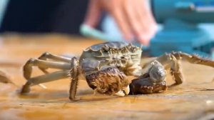 8 САМЫХ ОПАСНЫХ РАКООБРАЗНЫХ В МИРЕ // The 8 most dangerous crustaceans in the world