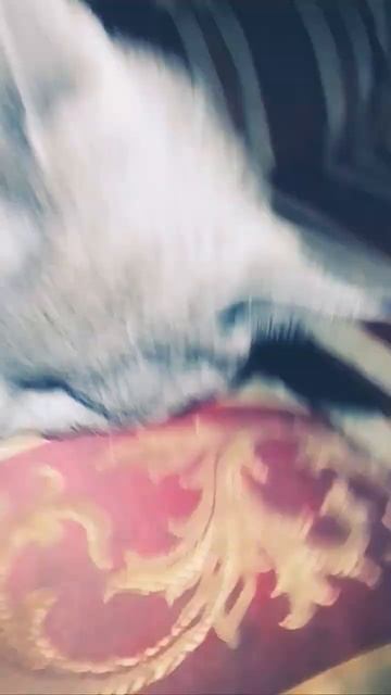 кот Саймон смотреть онлайн