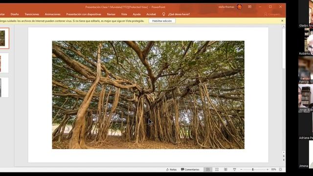 Clase 3 Mundaka tercera parte 07052022 смотреть онлайн
