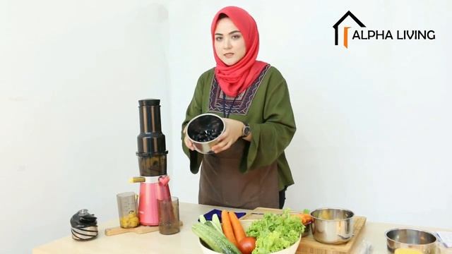 Alpha Living Mini Low-Speed Slow-Grinding Juicer Home Slow Juice Electric Machine (KEA0231) смотреть онлайн