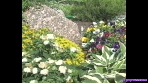 Образец оцифровки видеокассет VHS с улучшением и без (плата захвата Ugreen CM410)