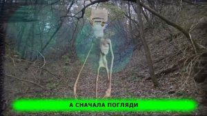 ТОП 10 ПАРОДИЙ - SCP против Влада А4 в реальной жизни | ПЧЕЛОВОД Пародия | Сиреноголовый