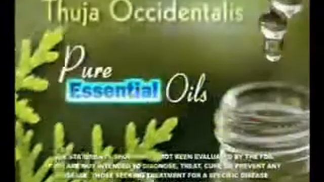 Tag Away - As Seen On TV смотреть онлайн