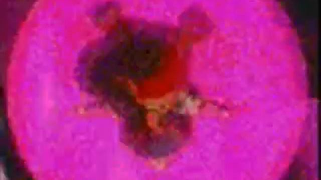 Video Gifs - SM смотреть онлайн