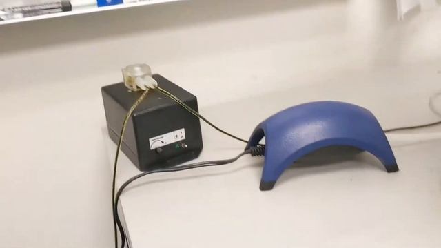 Zebrafish Feeding: Live Food Vs. Dry Food | Zebrafish Husbandry