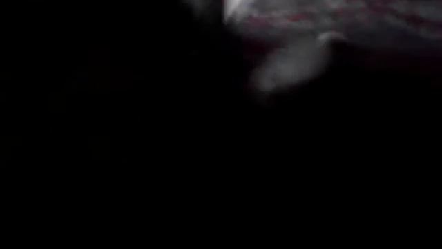 Когда шило в попе у кота смотреть онлайн