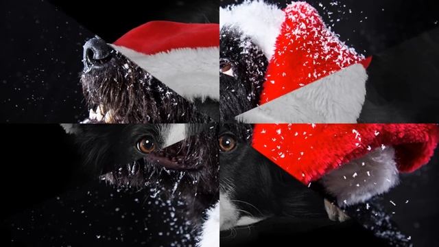 Navidad Navidad Hoy Es Navidad Letra Mejor Versión