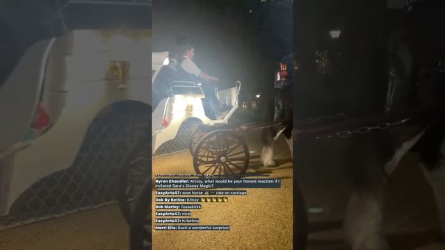 LIVE!!! PORT ORLEANS - HORSE DRAWN BUGGY! 🐴🧲