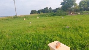 Борьба с клещём! Сублиматор от Андрея Вострякова.