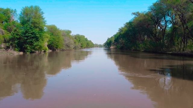 Видео для релаксации: медленный полет дрона над рекой в саванне, эмбиент|30 минут, 4К для ТВ смотреть онлайн