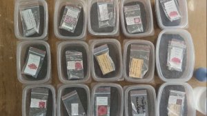 ПОРА СЕЯТЬ ПЕТУНИЮ.