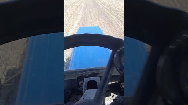 уборка свеклы