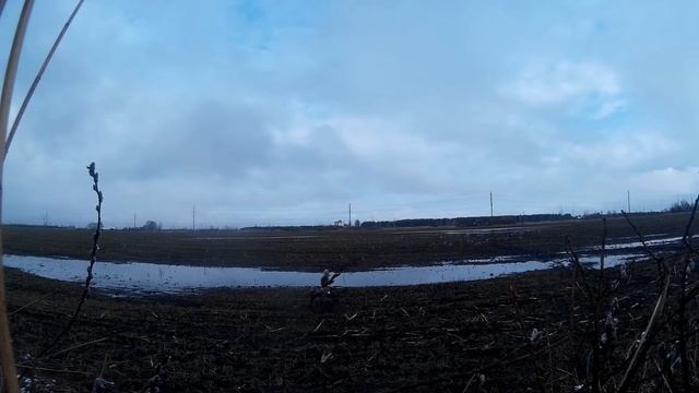 Охота на гуся 2 Goose hunting 2017 Охота в Беларуси смотреть онлайн