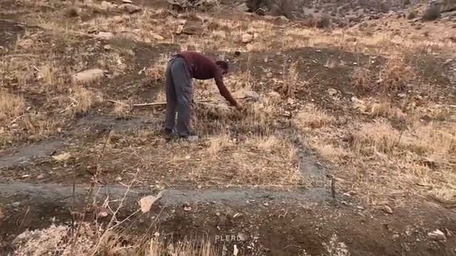 21.11.2023 В любую погоду Настойчивость матери-одиночки Не поддается влиянию погодных условий смотреть онлайн