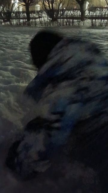 Мой глупый друг смешное видео смотреть онлайн