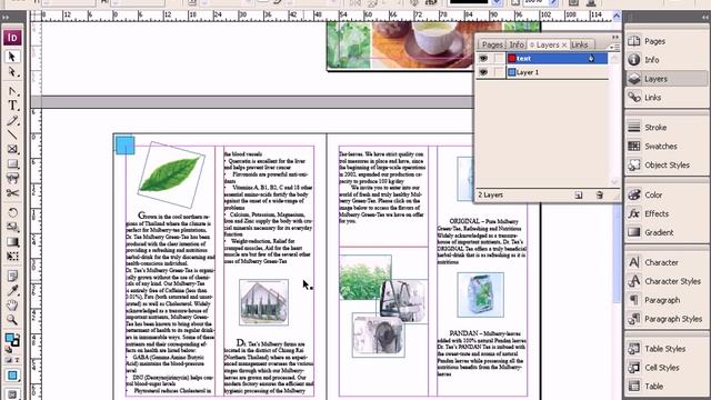 InDesign CS3 บทที่ 6/9 เลเยอร์ смотреть онлайн