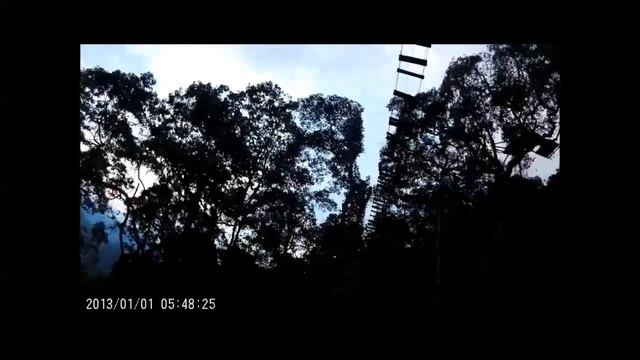 resumen macadamia Grabado con sj 4000 смотреть онлайн