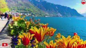 Монтре, Швейцария, 4K ! Сказочный курортный городок в Швейцарии!